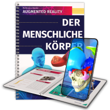 Der menschliche Körper