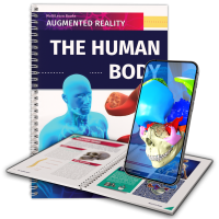 The Human Body The Human Body