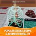 The Human Body