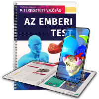 Az emberi test