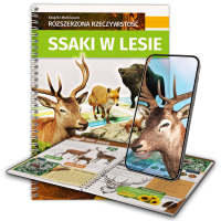 Ssaki w lesie Ssaki w lesie
