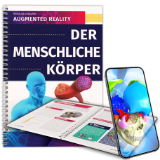 Der menschliche Körper Der menschliche Körper