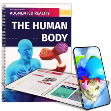 The Human Body The Human Body