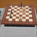 Die Weltmeister des Schachs