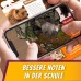 Säugetiere im Wald