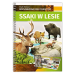 Ssaki w lesie
