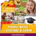 Zwierzęta wokół domu Zwierzęta wokół domu