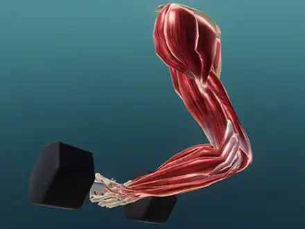 Show Some Flex