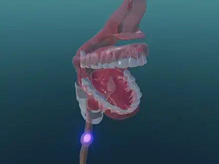 You Are What You Eat