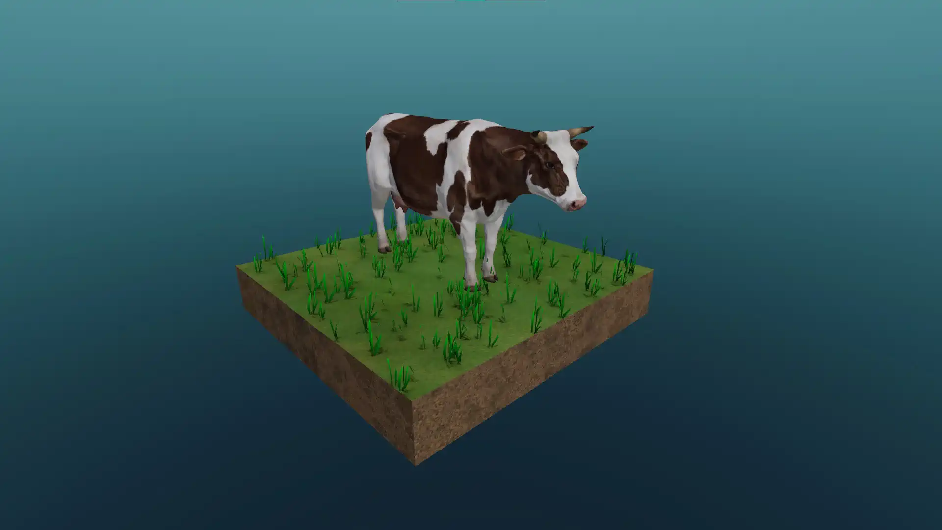 The cattle