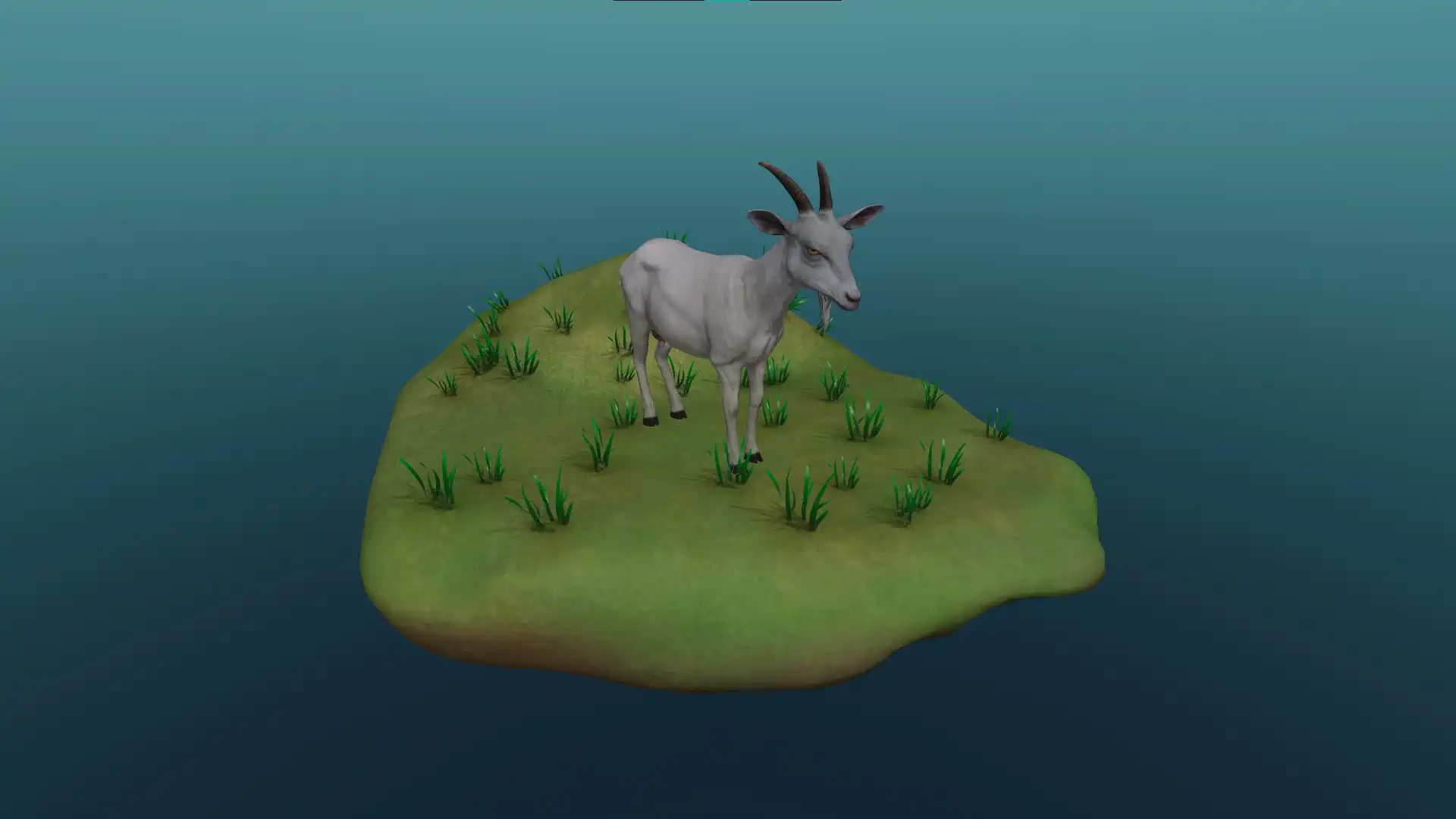 The domestic goat