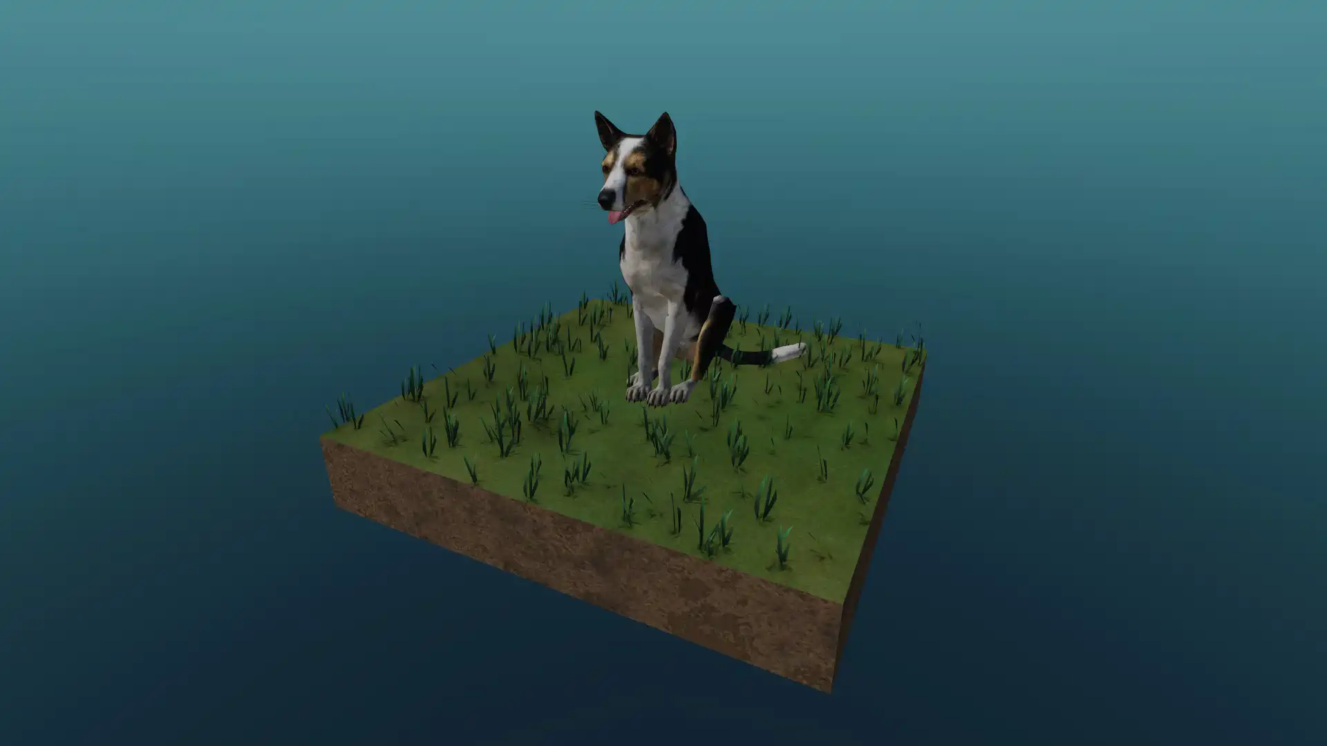 The dog