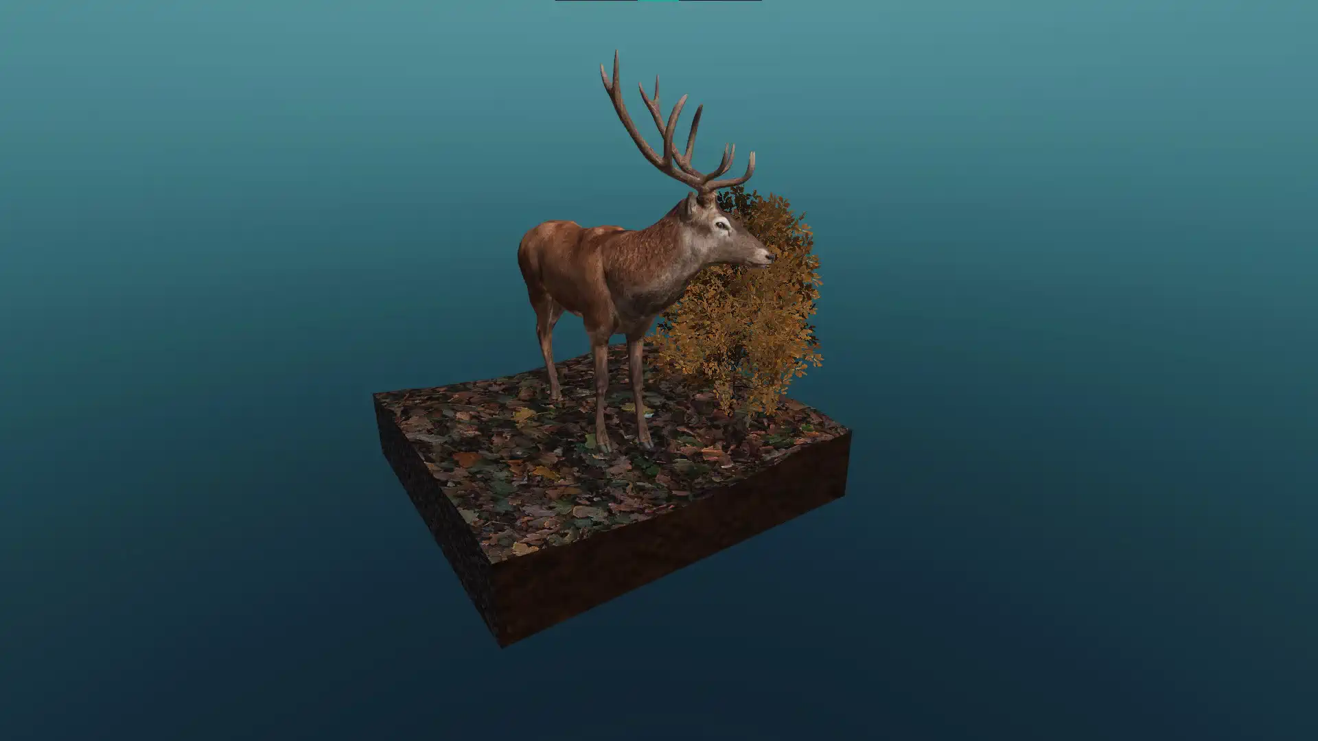 The red deer