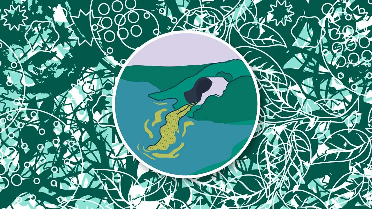 The Destruction of our Waters