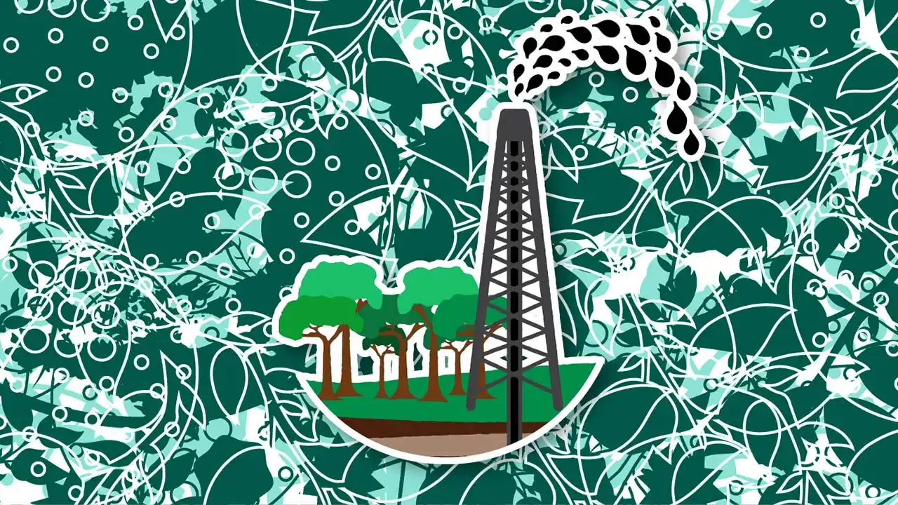Oil