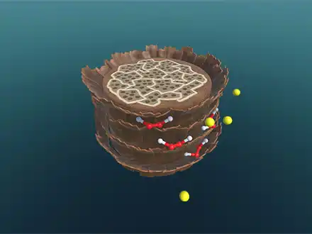 Chemie in der Schönheitspflege