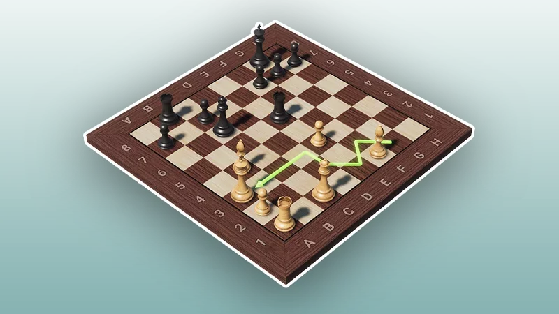 Timman-Karpov