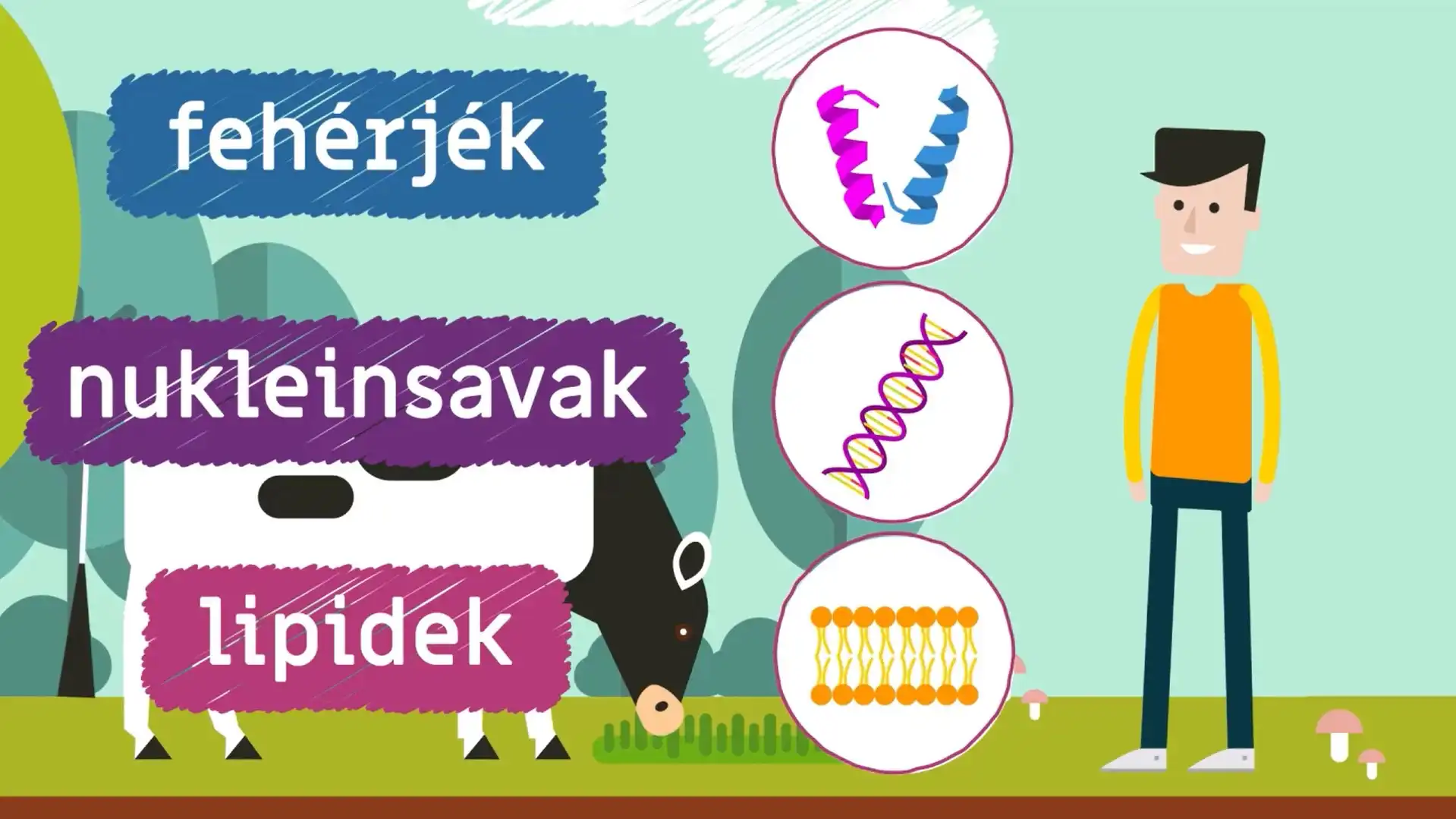 A nitrogéngáz