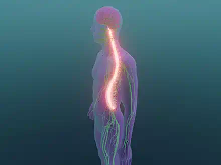 Sympathisch oder nicht?