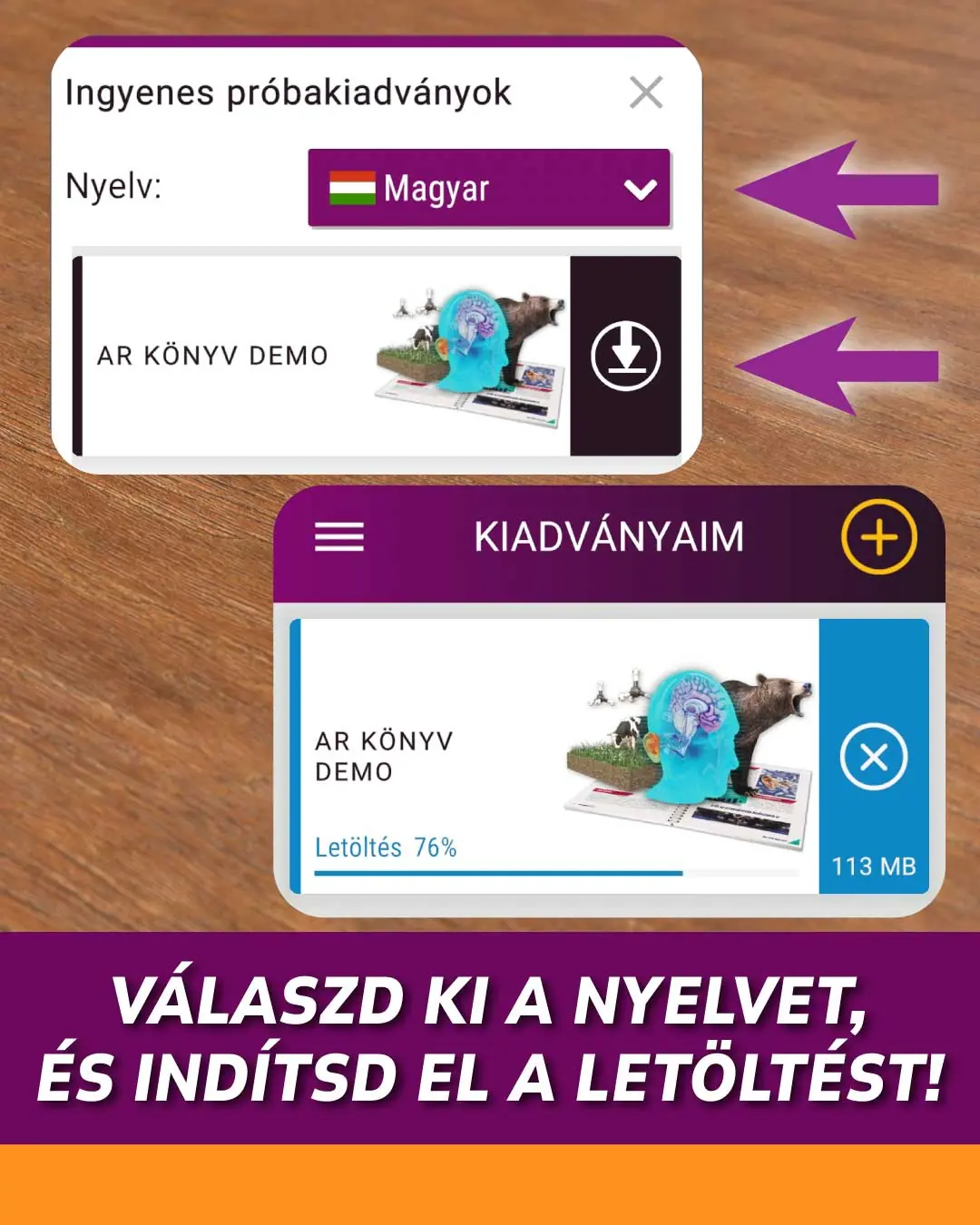 Válaszd ki a nyelvet, majd indítsd el a letöltést!