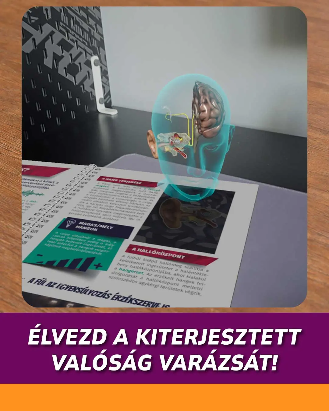 Élvezd a kiterjesztett valóság varázsát!